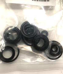 Cat Pumps 76977 OEM Seal kit 4SPX Pumps 4SPX32G1I
