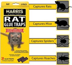 Harris Rat Glue Traps 2 Pack Large Sticky Boards for Rats Mice Roaches Spiders