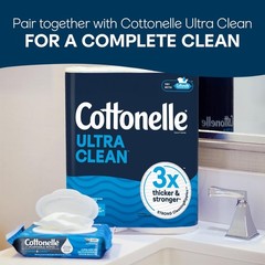 Fresh Feel Flushable Wet Wipes, Adult Wet Wipes, 8 Flip-Top Packs, 42 Wipes per