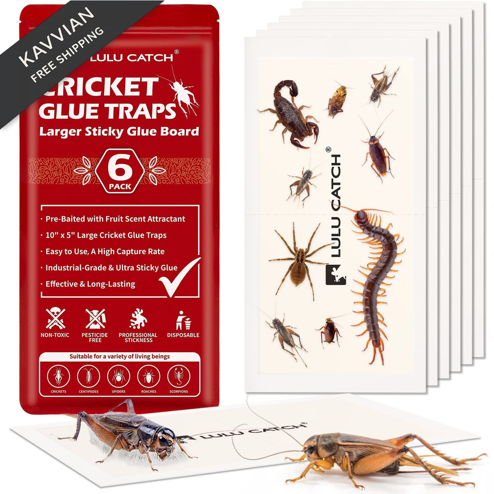 LULUCATCH Cricket Insect Glue Traps – 6 Pack Bug Cockroach 6 Pack, White