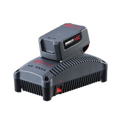 IQV 20V 5Ah Lithium-Ion Battery and Charger Kit IRC-BL2022C