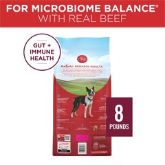 Purina One Small Bites Beef And Rice Formula Small High Protein Dry Dog Food