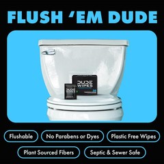 DUDE Wipes On-The-Go Unscented Travel – 30 30 Count (Pack of 1), White