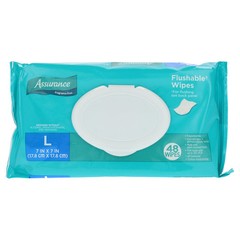 Large Flushable Wet Wipes, Fragrance Free, 48 Count