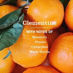 CLEAN DAY Dish Soap, Clementine Scent, 16oz Pack of 3