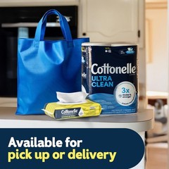 Cottonelle Summer Fresh Scent Flushable Wipes, 2 Packs, 42 Wipes Each