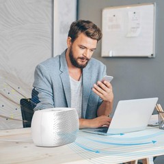 Pure Enrichment PureZone Breeze Tabletop 2-in-1 Air Purifier – True HEPA Filt…