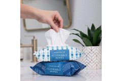 Member’s Mark Flushable Wipes Fresh Scent 540 Count Soft & Gentle Pack