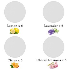 Maitys 24 Pcs Fragrance Discs Replacement Steam Mop Scent Fresh Fragrances