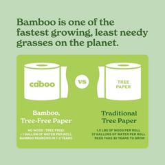 Caboo Tree Free Flushable Wipes, Certified 60 Count (Pack of 3), White