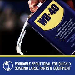 WD-40 Original Formula, Multi-Use Product, One Gallon 1-Pack, White