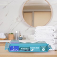Large Flushable Wet Wipes, Fragrance Free, 48 Count