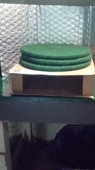3pcs-Americo Green Scrub 17 in Round Green Scrubbing/Stripping Pad