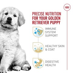 Royal Canin Breed Health Nutrition Golden Retriever Puppy Dry Dog Food 30 Lb