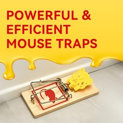 LULUCATCH Mouse Traps,12 Pack Classic Plastic Pedal Snap 12 Pack, Wood Color