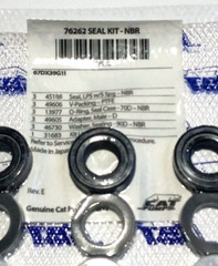 76262 SEAL KIT FOR CAT PUMP 67DX39G1 And DXPW60605 Pressure Pump, 67DX391l