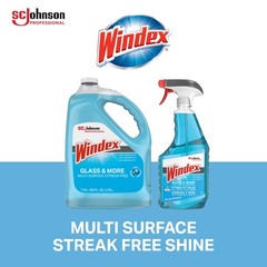 SC Johnson Professional Windex Glass and More 1 Count (Pack of 4), Blue