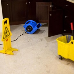 VP-25 1/4 HP 900 CFM for Water Damage Restoration Equipment Carpet dryer…