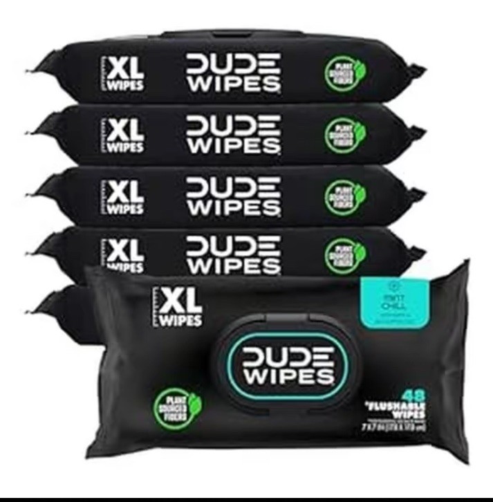 DUDE Wipes 6-Pack Flushable Adult Wet Wipes Unscented Vitamin E Aloe Large