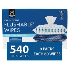 Member’s Mark Flushable Wipes Fresh Scent 540 Count | Sewer & Septic Safe | Aloe