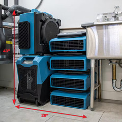 1/3 HP 1150 CFM 5-Speed Sealed Motor Low Profile Air Mover, Floor Fan, Carpet Dr