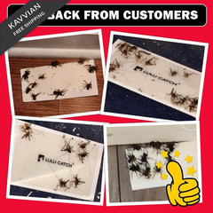LULUCATCH Cricket Insect Glue Traps – 6 Pack Bug Cockroach 6 Pack, White