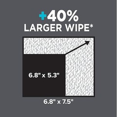 Basics Extra Large Flushable Wipes, Fragrance Free, pH Balanced, Vitamin E &