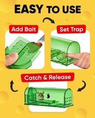Motel Mouse Humane Traps No Kill Live Catch and Regular Green 4 Pack