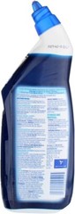 Lysol Power Toilet Bowl Cleaner 24 Oz 2-Pack 48 Oz