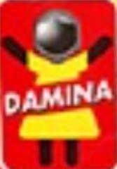 Damina Liquid Washing Machine 50 Washes 2500 ML Color