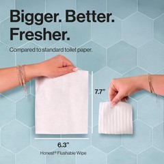 The Honest Company Hypoallergenic 42 Count (Pack of 3), Tropical Leaves