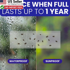 50 Window Fly Traps Sticky Non-Toxic Clear Fly Paper Indoor Housefly Gnat Killer