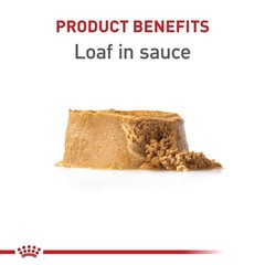 Royal Canin Puppy Canned Dog Food 13.5 oz – Pack of 6 – Healthy Growth