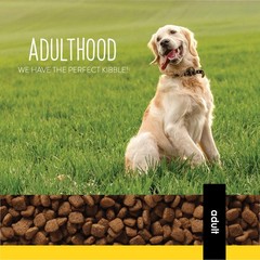 Pro Pac Ultimates Lamb Meal And Brown Rice Dry Dog Food 5 Lb.