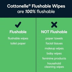Cottonelle GentlePlus Flushable Wipes, 4 Flip-Top Packs, 42 Wipes per Pack