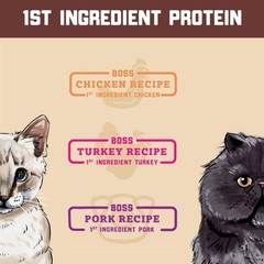 Boss Cat Complete Balanced Freeze Dried Raw Diet For Cats Chicken Recipe 9 Oz