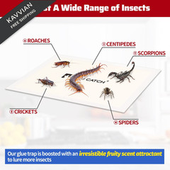 LULUCATCH Cricket Insect Glue Traps – 6 Pack Bug Cockroach 6 Pack, White