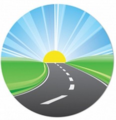 (12) Homax 123100 3 pack Fine Bronze Wool Pads