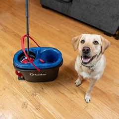 O-Cedar Rinseclean Spin Mop Bucket System Clean Clean Water Removes 99 Of