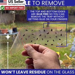 50 Window Fly Traps Sticky Non-Toxic Clear Fly Paper Indoor Housefly Gnat Killer
