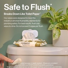 Flushable Wipes – 126ct