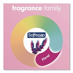 Softsoap US07157A 11.25 oz Liquid Hand Soap Pumps – Coconut and Hibiscus New
