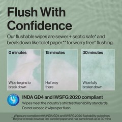 Flushable Wipes – 126ct