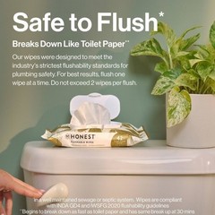 Flushable Wipes – 126ct