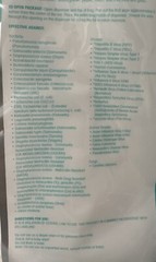 ONE WIPES PLUS Disinfecting Wipes – 800CT LEMON SCENT