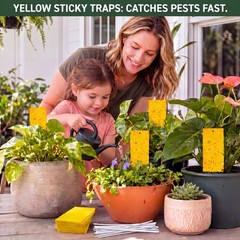 Qualirey 100 Pcs 7.87 x 3.9 Inch Yellow Sticky Traps 7.8 x Inch,