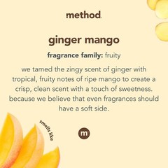 Method Liquid Laundry Detergent Ginger Mango Scent Stain Remover 66 Loads Per