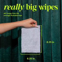 goodwipes Flushable Butt Wipes, Lavender Scented, 6 Pack, 300 Total Wipes