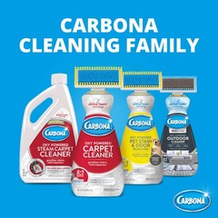 Carbona Pro Care Oxy Powered Outdoor Cleaner 22 Fl Oz (Pack of 2), No Color