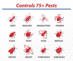 1 Gal Talstar Pro Insect Control Pest Insecticide Roach Earwigs Flea Tick FRESH!